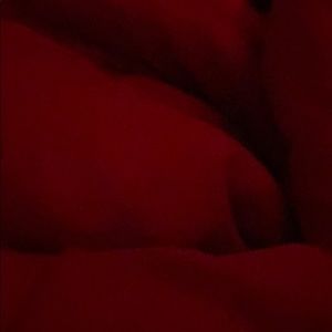 Meet your Posher, Kamdyn